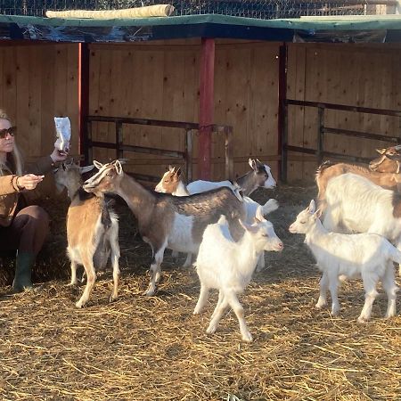 La Villa De I Casali Del Troscio Capalbio Dış mekan fotoğraf