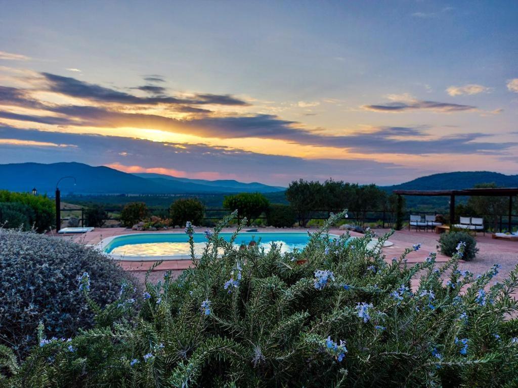 La Villa De I Casali Del Troscio Capalbio Dış mekan fotoğraf